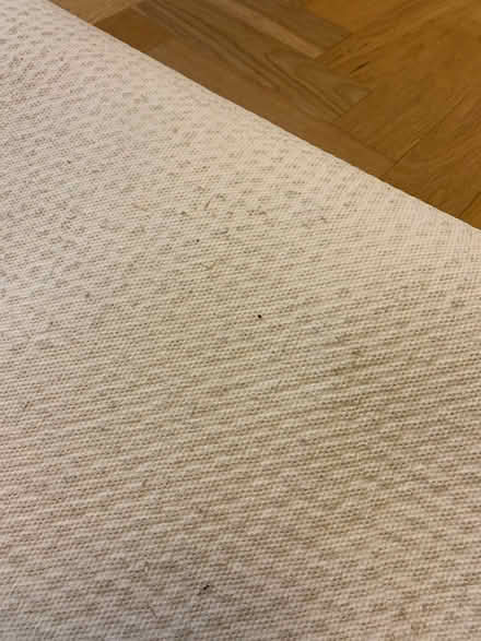 Photo of free Sisal natural flooring (Abergavenny NP7) #4