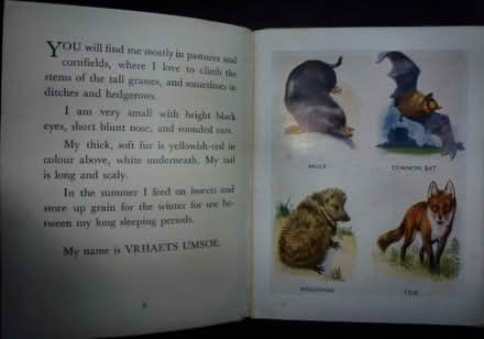 Photo of free Children's books (Cuddington CW8) #2