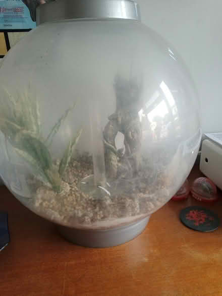 Photo of free BiOrb fish tank (Abingdon) #1
