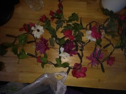 Photo of free Fake flowers (West Malvern WR14) #2