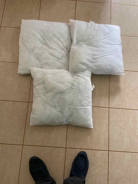 Photo of free cushion pads (Radnage HP14) #1