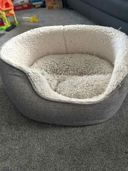Photo of free Puppy bed (B72) #1