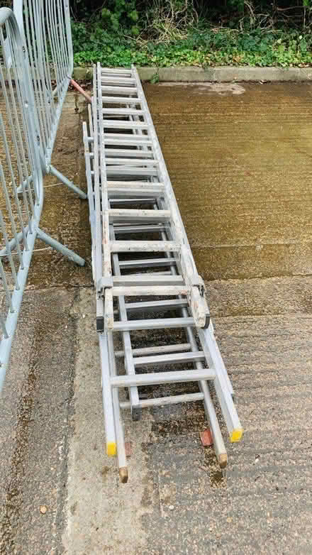 Photo of free Ladders going (Belbroughton Road, Oxford OX2) #2