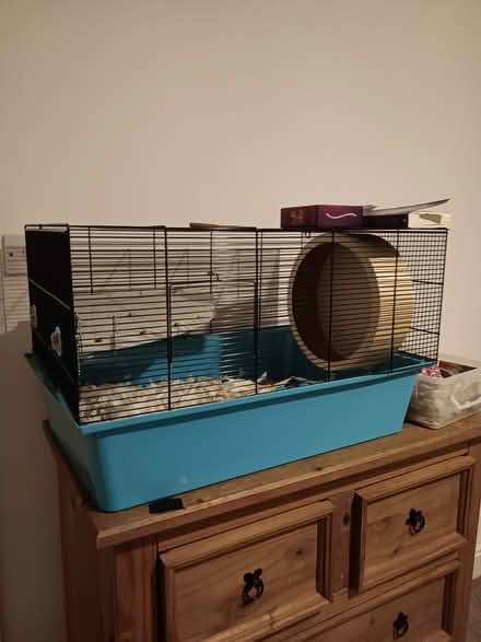 Photo of free Large Hamster Cage (CV6- Keresley) #1