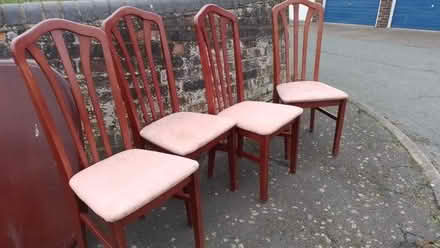 Photo of free 4 tall backed dining chairs (Lakenham NR1) #2