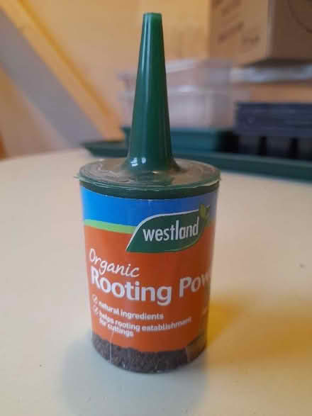 Photo of free Rooting powder (Lower Stoke CV3) #1