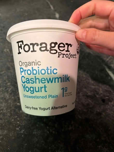 Photo of free Dairy-free cashew milk yogurt (Cambridgeport) #1