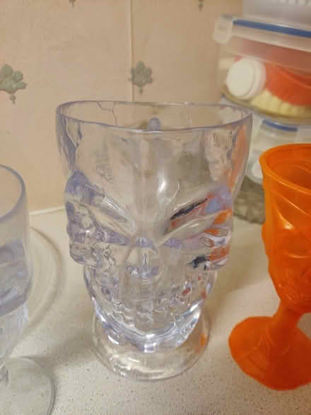 Photo of free Skull jug and glasses (Portsmouth) #1