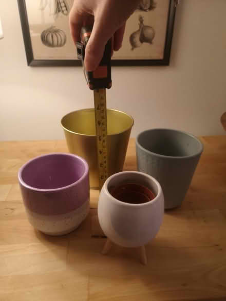Photo of free Plant pots for house plants (SK3) #1