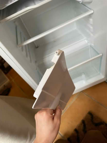 Photo of free Fridge (Cotham, BS6) #4