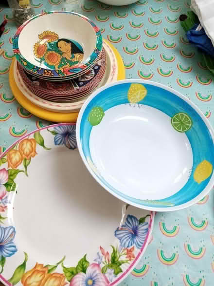 Photo of free Melamine plates and bowl (Wheatley OX33) #1