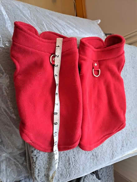 Photo of free 2 dog coats (PE13) #2