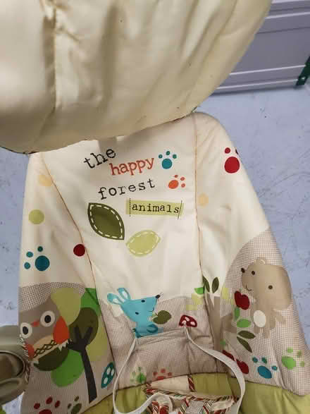 Photo of free Fisher Price Baby Bouncy Chair (Mongewell, Wallingford) #4