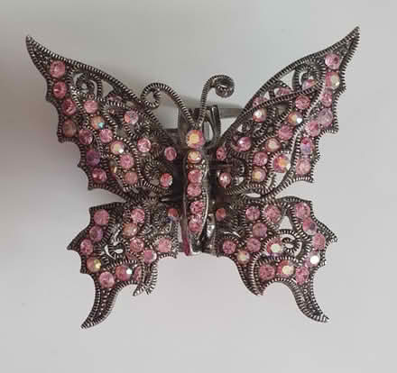 Photo of free Sparkly hair clip/claw with moving wings (Buggs Bottom RG4) #1