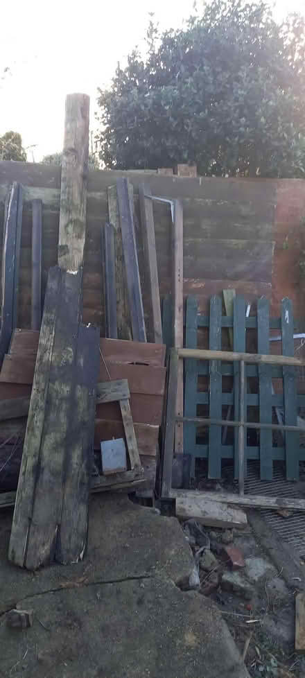 Photo of free Pieces of wood (East Runton NR27) #1