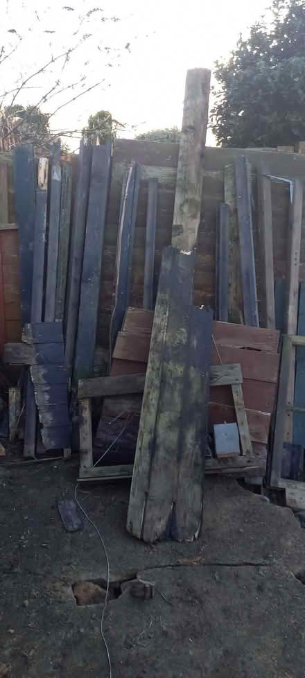 Photo of free Pieces of wood (East Runton NR27) #2
