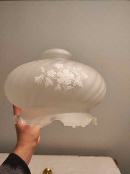 Photo of free Vintage glass light shade (Twerton) #1