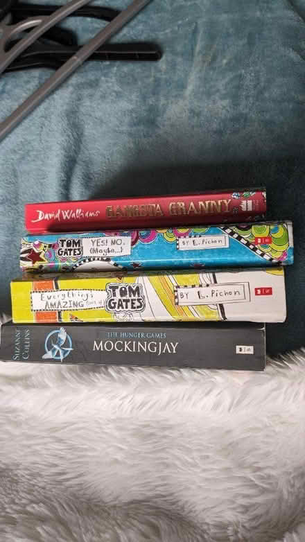 Photo of free Children's books (Perth PH1) #1