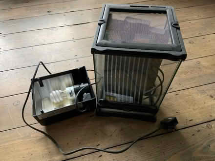 Photo of free Small terrarium (Widcombe) #1