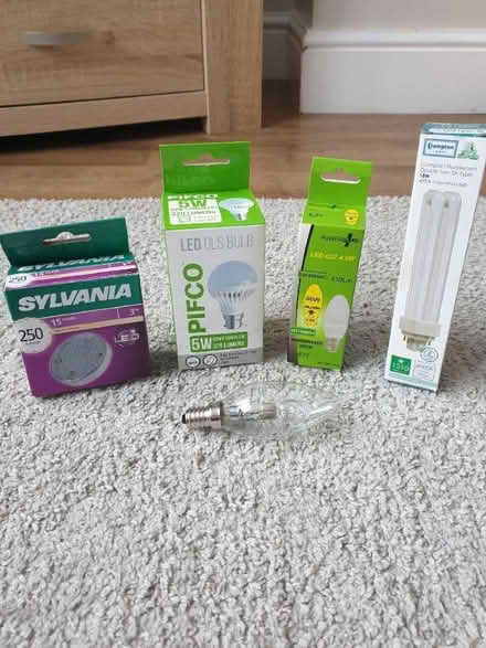 Photo of free Light bulbs (Norbury SW16) #1