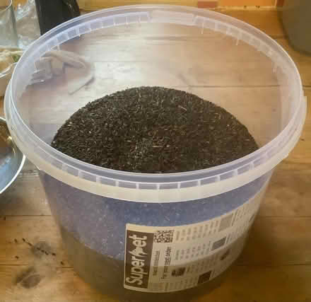 Photo of free Niger seed (Burleigh GL5) #1
