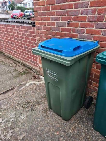 Photo of free Large garden waste bin (Richmond. TW10) #1