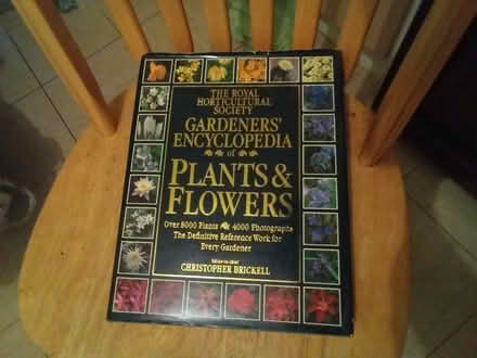 Photo of free r.h.s. plant & flower encylopedia (Havant PO9) #1