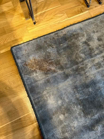 Photo of free Grey square rug (Hayling Island) #2