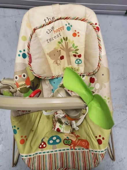 Photo of free Fisher Price Baby Bouncy Chair (Mongewell, Wallingford) #3