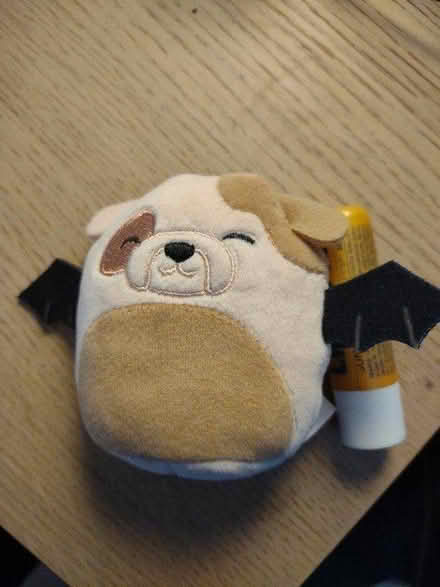 Photo of free Small plushie toy (Southwark Park) #1