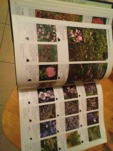 Photo of free r.h.s. plant & flower encylopedia (Havant PO9) #3