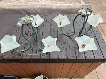 Photo of free Ceiling Lights (2) (GL51) #1