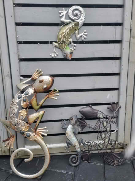 Photo of free Metal geckos (Bearsted) #1