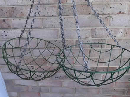 Photo of free Hanging Baskets (CT1) #2