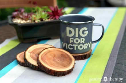 Photo of Wood Log (Square one) #1