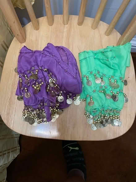 Photo of free Belly Dancing Hip Scarves (Near Jackie Robinson Park) #1