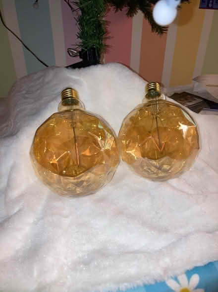 Photo of free 2 decorative lightbulbs (South Yardley, B26) #1