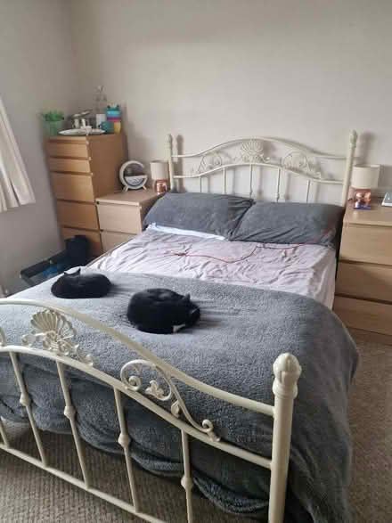 Photo of free Double bed frame and mattress (Hampden Park BN22) #1