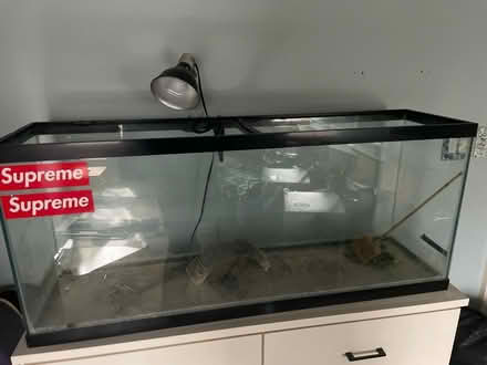 Photo of free Aquarium (Cambridge Ave., Decatur) #1