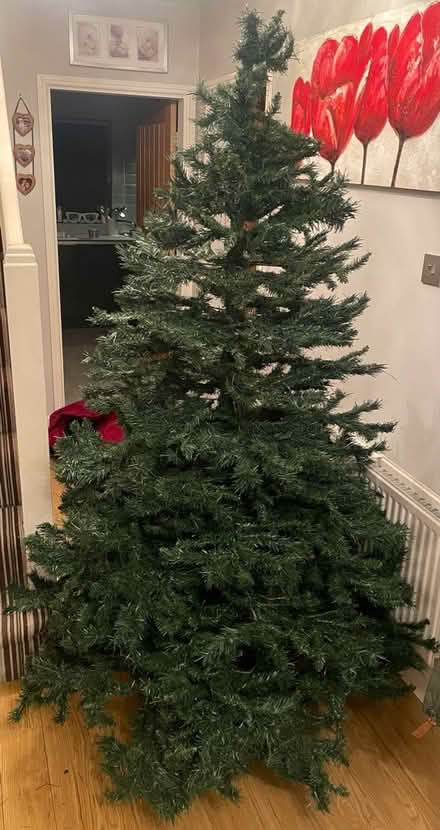 Photo of free 6ft Christmas tree (Appleton WA4) #1