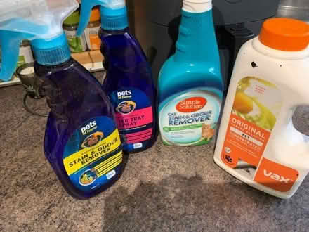 Photo of free Products for cats (Benhall GL51) #1