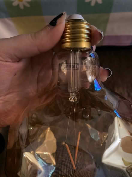 Photo of free 2 decorative lightbulbs (South Yardley, B26) #4