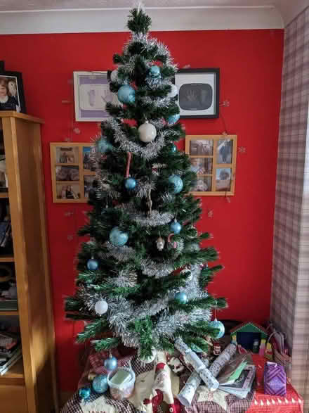 Photo of free Christmas tree (Bracknell Forest RG12) #3