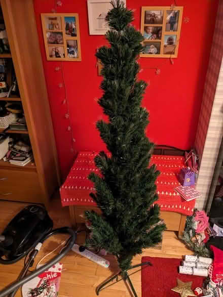 Photo of free Christmas tree (Bracknell Forest RG12) #1