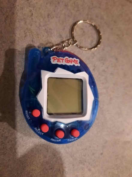 Photo of free Virtual pet (ME20) #1