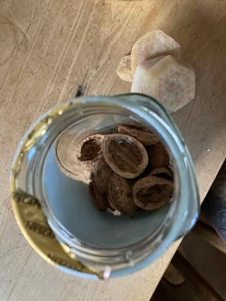 Photo of free Walnut shells and bees wax (Oxlinch GL10) #1