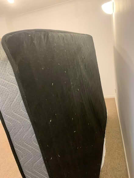 Photo of free King spring mattress (Preston Park area BN1) #1