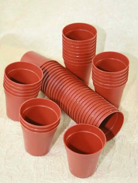 Photo of free Plastic Plant Pots (London Rd, HW HP11) #1