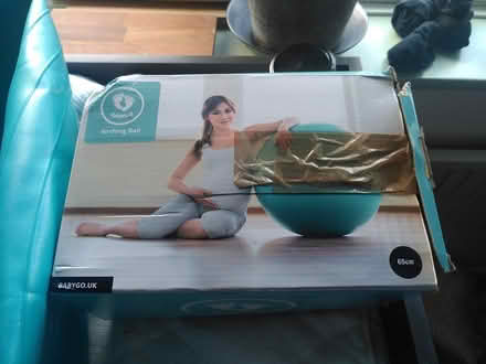Photo of free Babygo pregnancy and birthing ball (Downham) #1