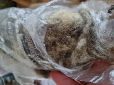 Photo of free Wool from packaging (Charlton Kings GL52) #2